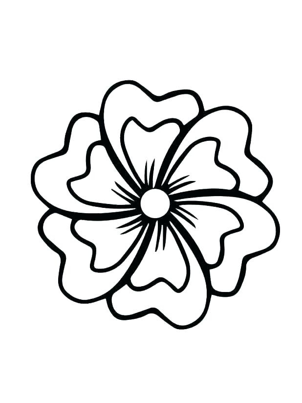 Jasmine Flower Drawing | Free download on ClipArtMag