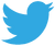 Follow allimaass on Twitter
