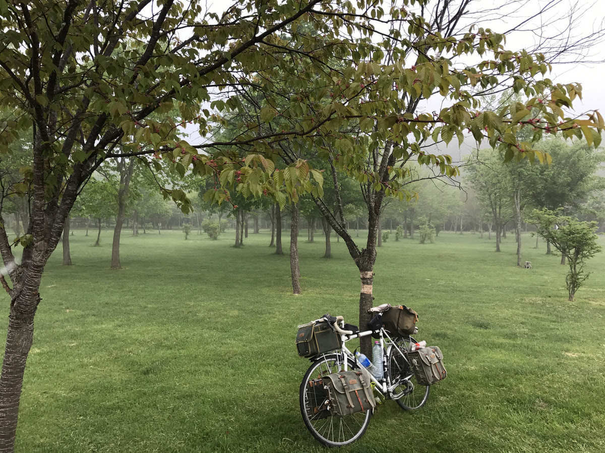 5 月 24 日自転車