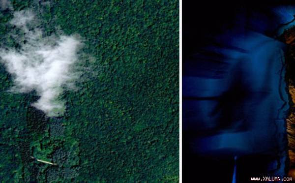 Ảnh chụp khu rừng từ trên cao bằng công nghệ LIDAR.