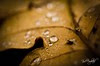20111023-TF1_8048