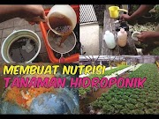 Inilah Cara Membuat Nutrisi Tanaman Hidroponik Menggunakan Nasi Basi Dengan Mudah, terupdate!