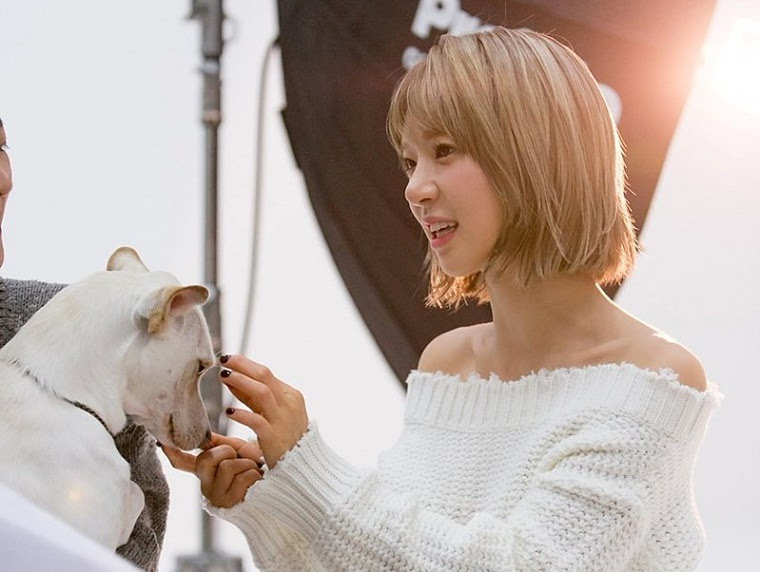 Aoa チョア グループ脱退説に関して事務所側がコメント チョアが休みたいと言ったので休息をとっている All About Girls K Pop