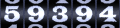 Web Page Counters