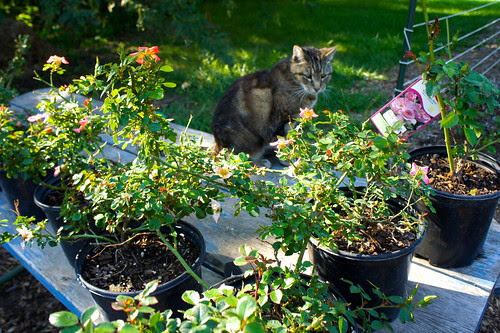 DSC05183 - Version 2
