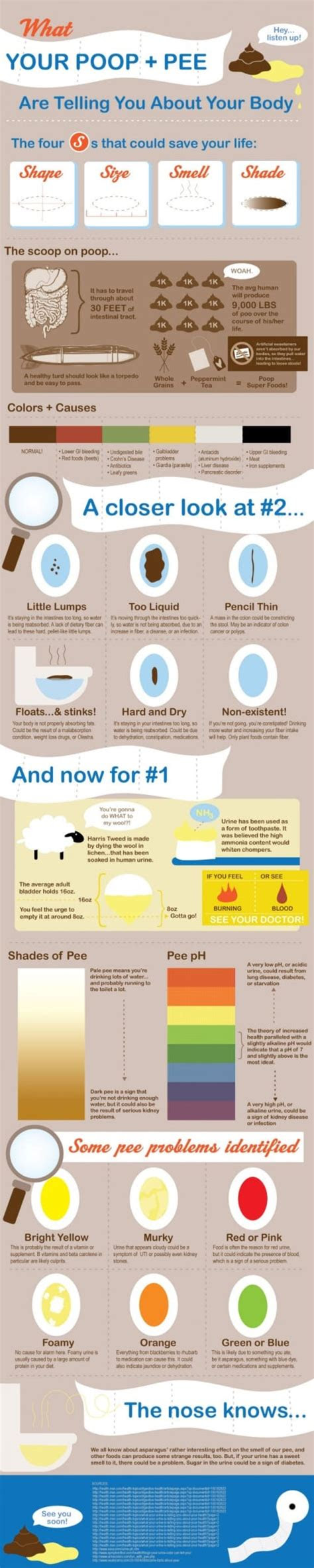  types of poop colors frequency abnormal poop more mindbodygreen