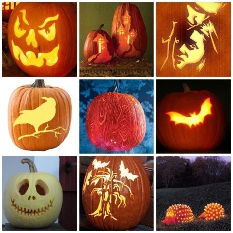 night owl carved pumpkin owl pumpkin night owl  owl