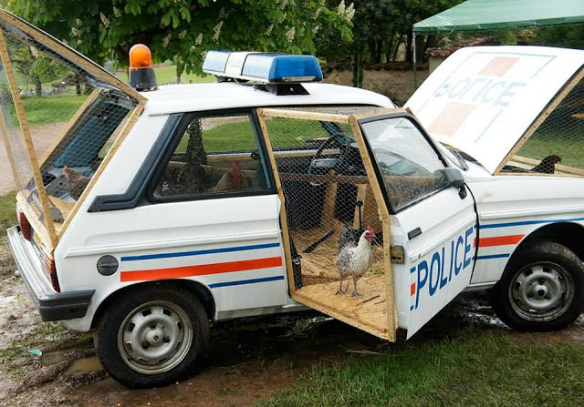 Police Car Converted into Chicken Coop | Make: DIY Projects, How-Tos ...