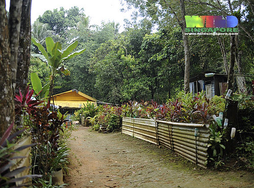 Kampong house at Kampong Melayu