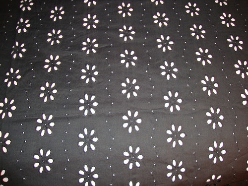 eyelet fabric that I bought yesterday 