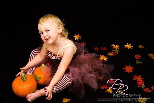 IMG_9150WM