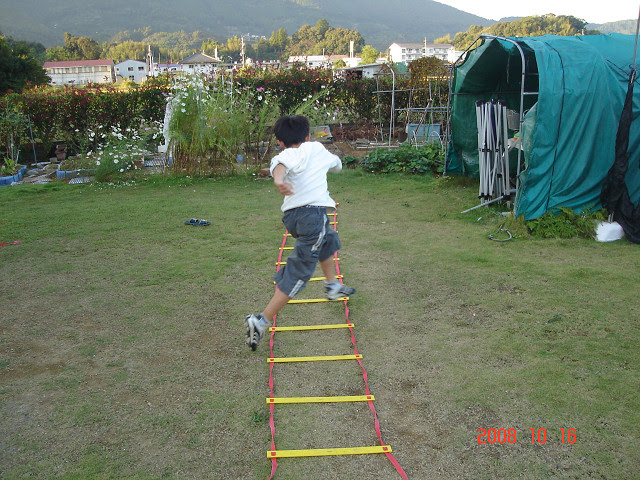 親子でサッカー上達にチャレンジ ラダートレーニング