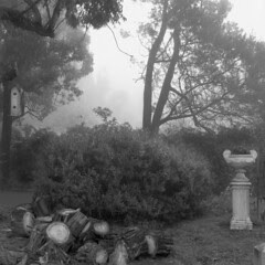 still life at red hill south [Saturday 10.06.2006]