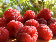 Rasberries
