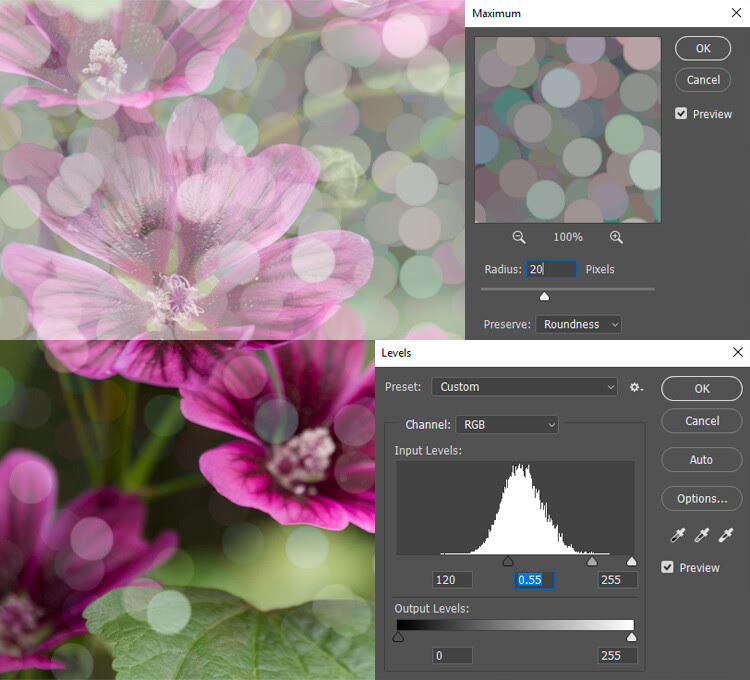 How to Create Realistic Bokeh and Blur Effects using Photoshop