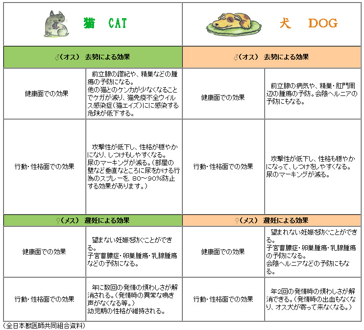 Npo Dask 不妊 去勢手術助成金