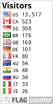 Flag Counter