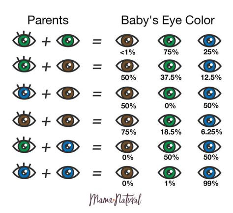 baby eye color chart the best porn website