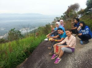 Broga