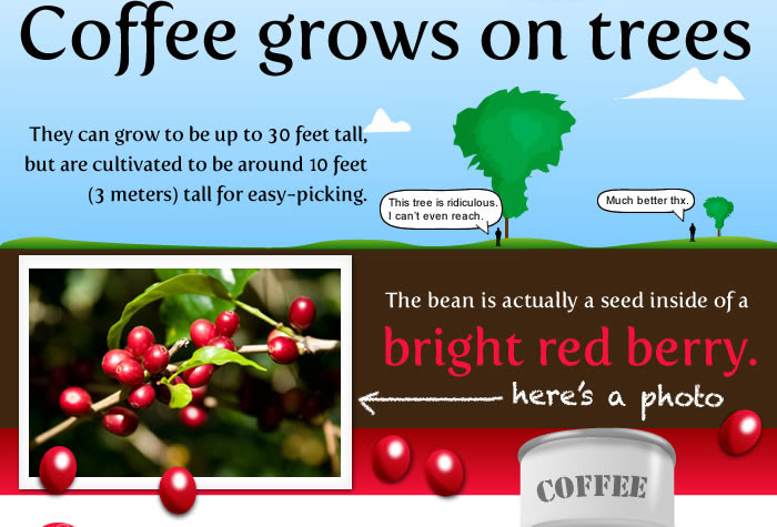 http://theoatmeal.com/img/comics/coffee/4.jpg