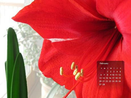 desktop wallpaper calendar wallpaper 2011 desktop. desktop wallpaper calendar