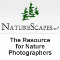Naturescapes