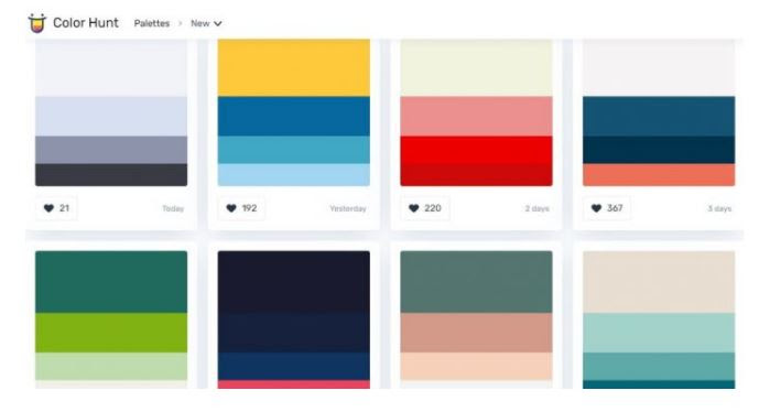 Color Hunt