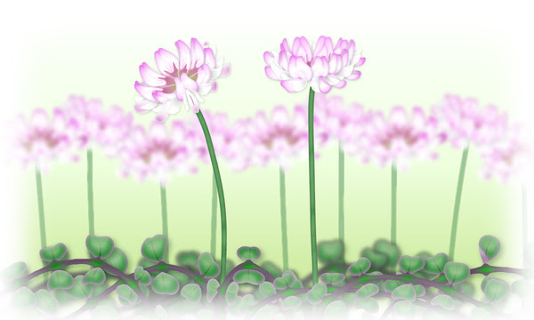 蓮華草 れんげそう の花言葉 英語名を由来付きで紹介 春夏秋冬