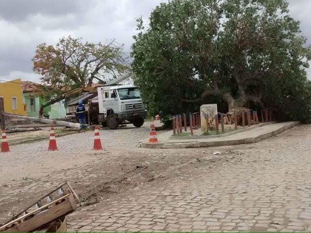 Árvores cairam em diferentes pontos da cidade (Foto: Arildo Leone de Sousa)