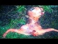 A woman - in San Jose, California Found a Alien Creature in her backyard 