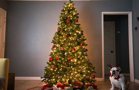 artificial christmas tree     digs