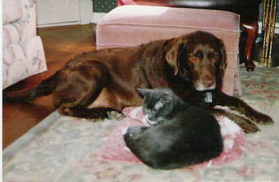 Candy and Ghosty.