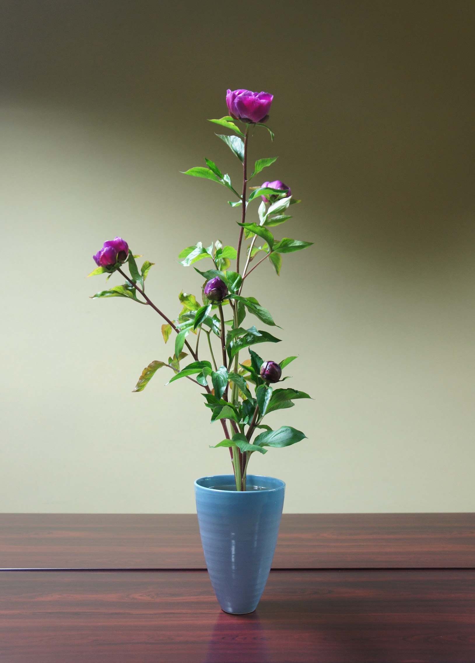 池坊いけばな 花教室 芍薬 5本生け