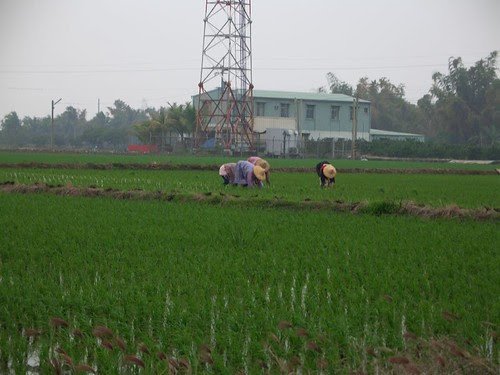 CIMG0106