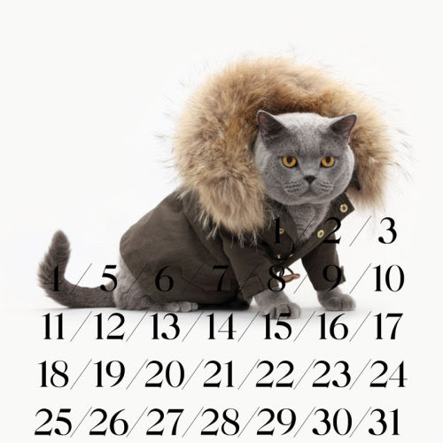 United Bamboo Calendar. United Bamboo calendar
