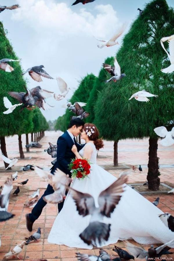 ‘Hot boy trà sữa’ tình cảm bên vợ trong ảnh cưới