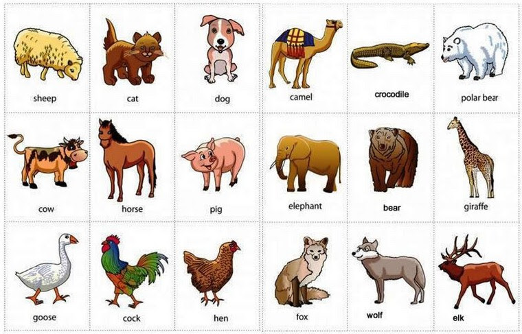 Contoh Gambar Ilustrasi Hewan Windows 10 Typo Contoh Gambar Ilustrasi Hewan Windows 10 Typo