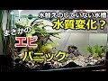 [最新] 水槽 汚れない 方法 879187-水槽 汚れない 方法
