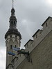 Town Hall