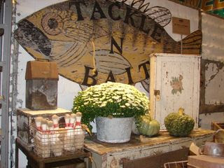 Lake co flea-3 051 (800x600)