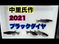 [最も欲しかった] メダカ ブラックダイヤ 317537-メダカ ブラックダイヤモンド