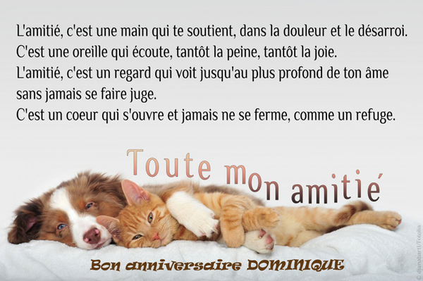 bon anniversaire a un ami Bon Anniversaire A Mon Amie Dominique bon anniversaire a un ami