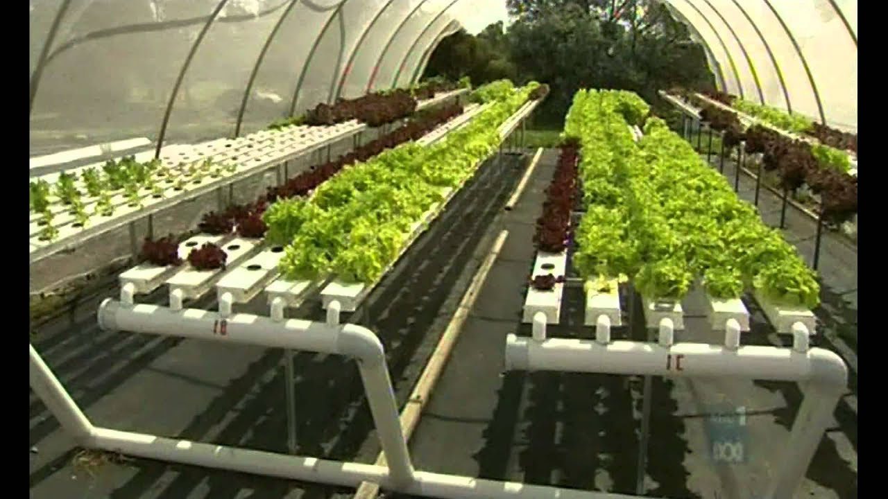 aquaponic integrated farming - youtube