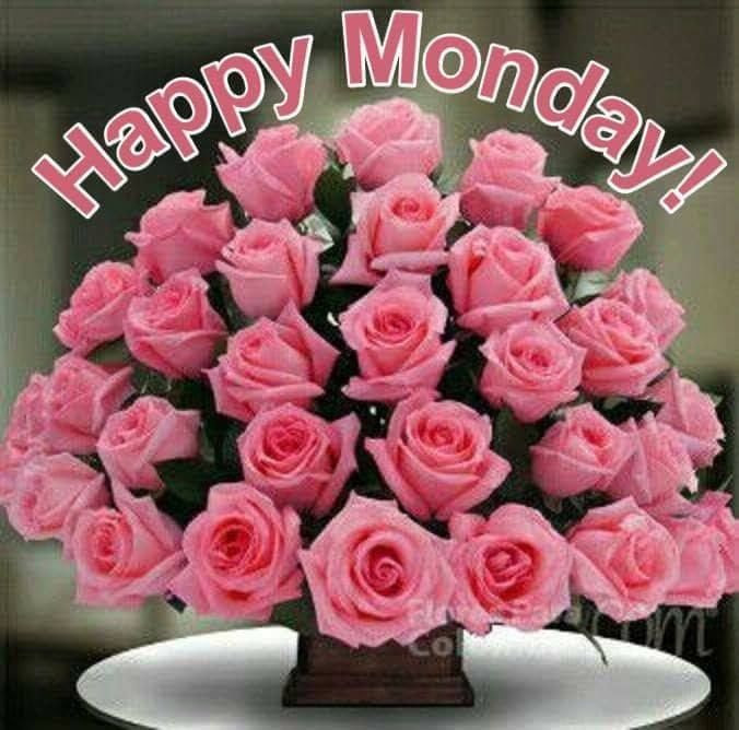 Pink Roses Happy Monday Pictures, Photos, and Images for 