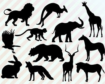 Download Zoo svg, Download Zoo svg for free 2019
