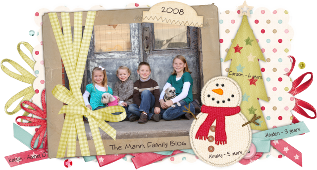 The Mann Family Blog