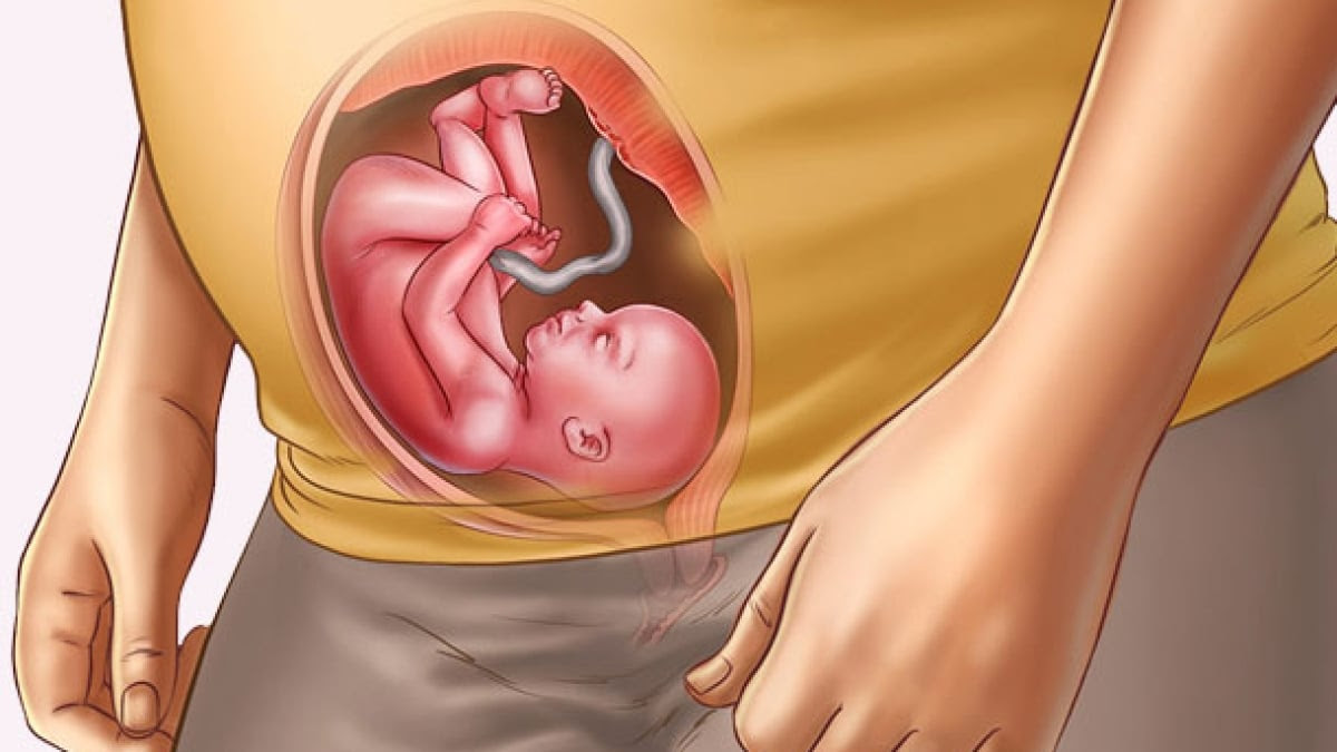 23 Semanas De Embarazo Sexto Mes Embarazoymas