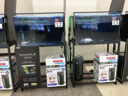 水槽セット 錦鯉販売 川崎錦鯉店のオフィシャルブログ