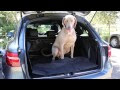 Porsche Macan Dog Barrier