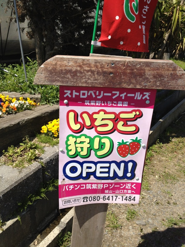 ストロベリーフィールズ いちご8種類食べ比べ 福岡県筑紫野市 赤ちゃんに優しい 株式会社お掃除でつくるやさしい未来